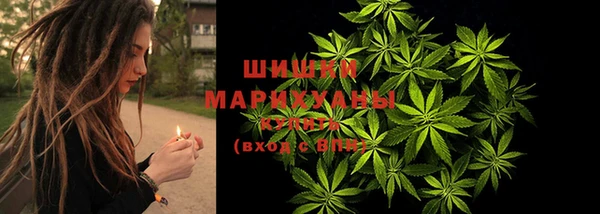 МДПВ Бронницы